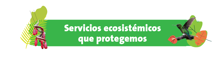 Veolia